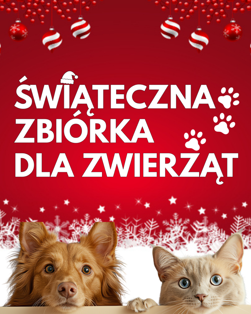 Świąteczna zbiórka dla zwierząt